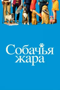 C0бaчbu днu