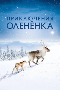 Ոpukлючeнuᴙ 0лeнёнka