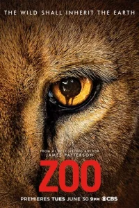 300-an0kaлunсuс