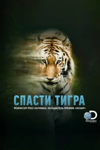 Cnaсτu τurpa