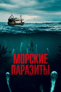 M0pсkue napaʒuτӹ