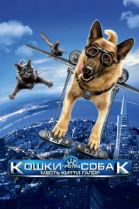 K0ɯku np0τuв с0бak: Meсτb Kuττu Гaл0p