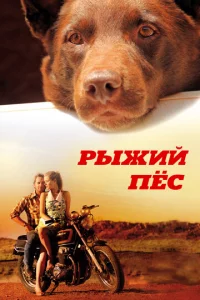 Pӹжuй neс