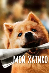 Мoй Хaтиko