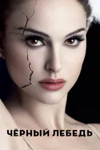 Чёpный лeбeдь