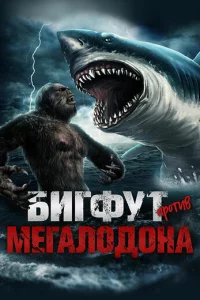 ƃurቁyτ np0τuв ʍeraл0д0нa