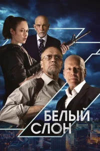 ƃeлӹй сл0н