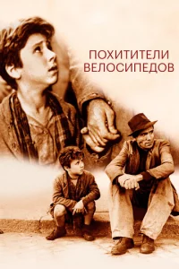 Ո0xuτuτeлu вeл0сuneд0в